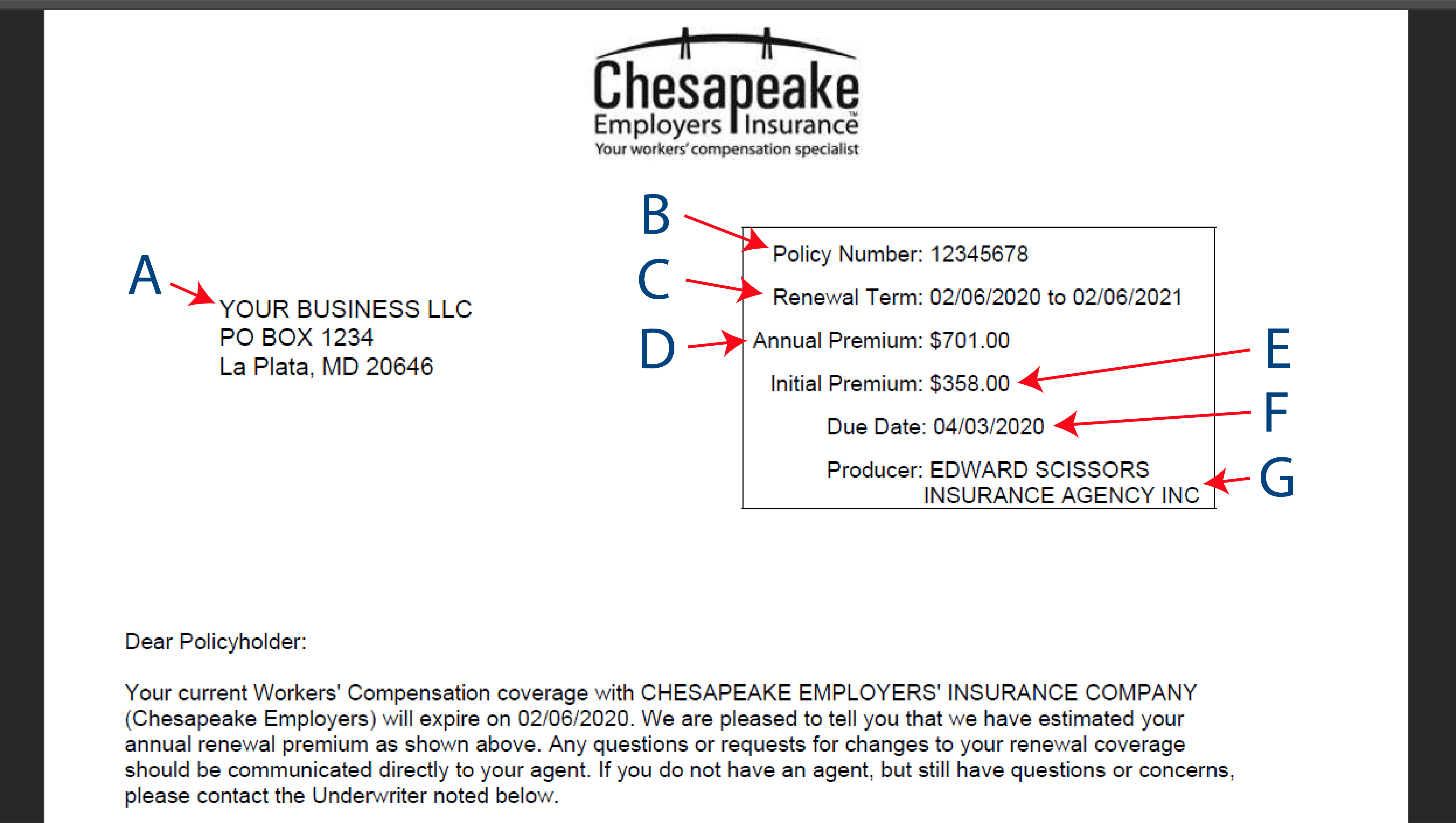 renewal invoice example
